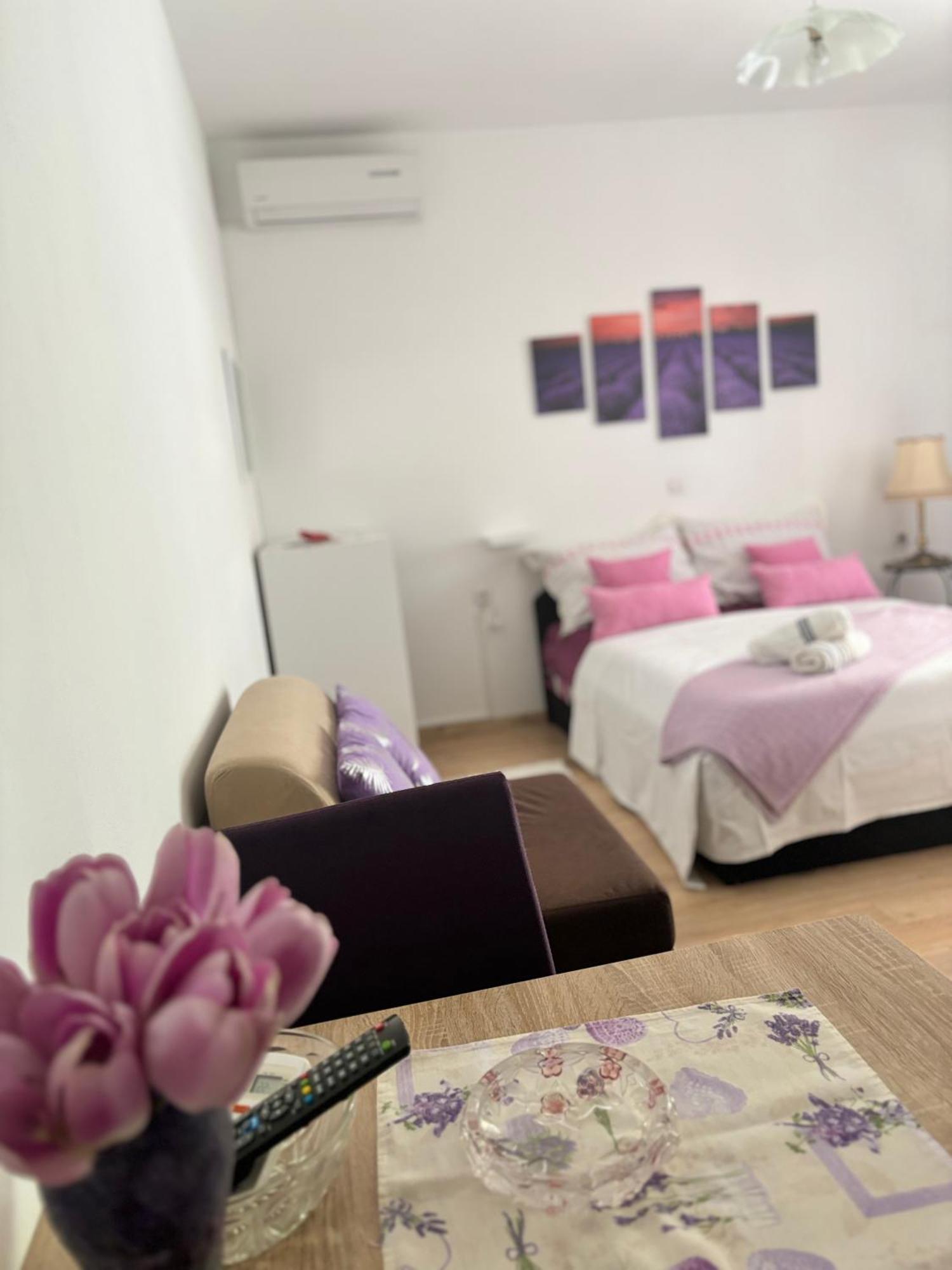 Apartments Ivana Bibinje Extérieur photo
