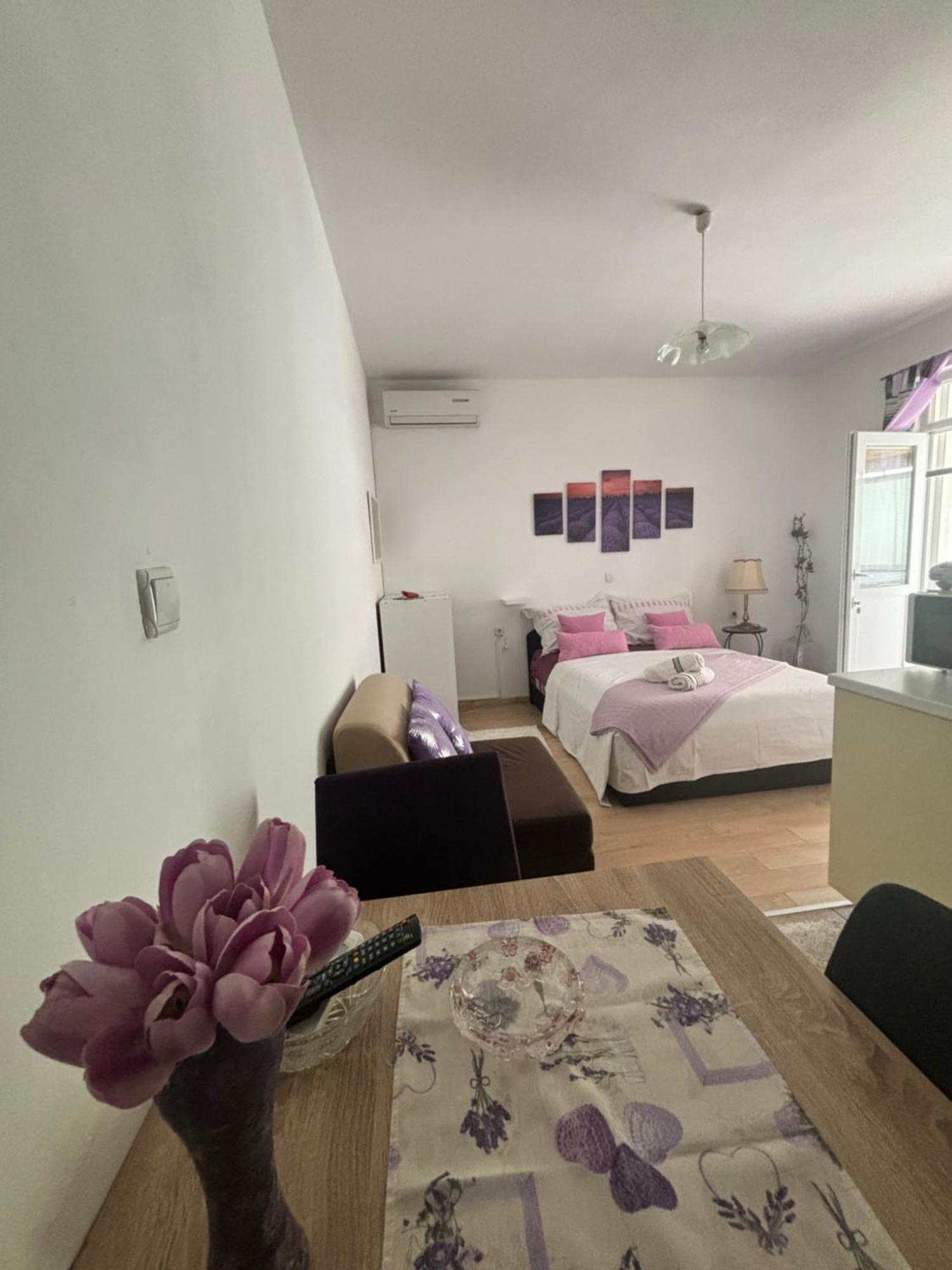 Apartments Ivana Bibinje Extérieur photo
